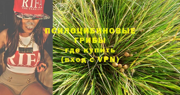 МДПВ Зеленодольск