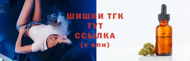 МДПВ Зеленодольск