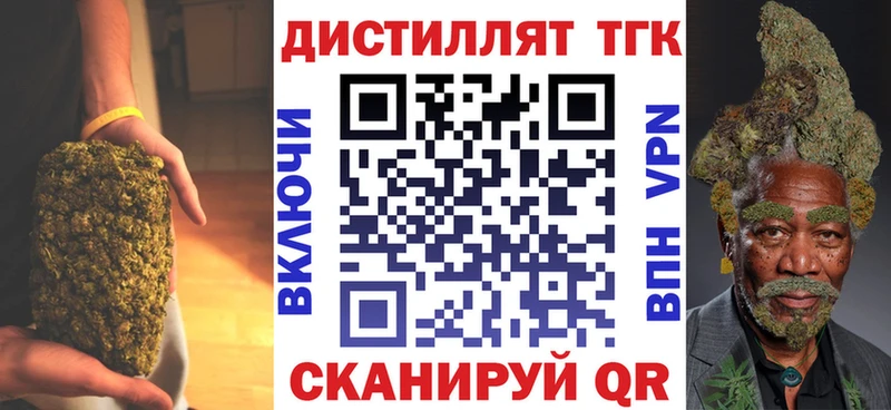 Купить закладки  Спасск  ТГК вейп 